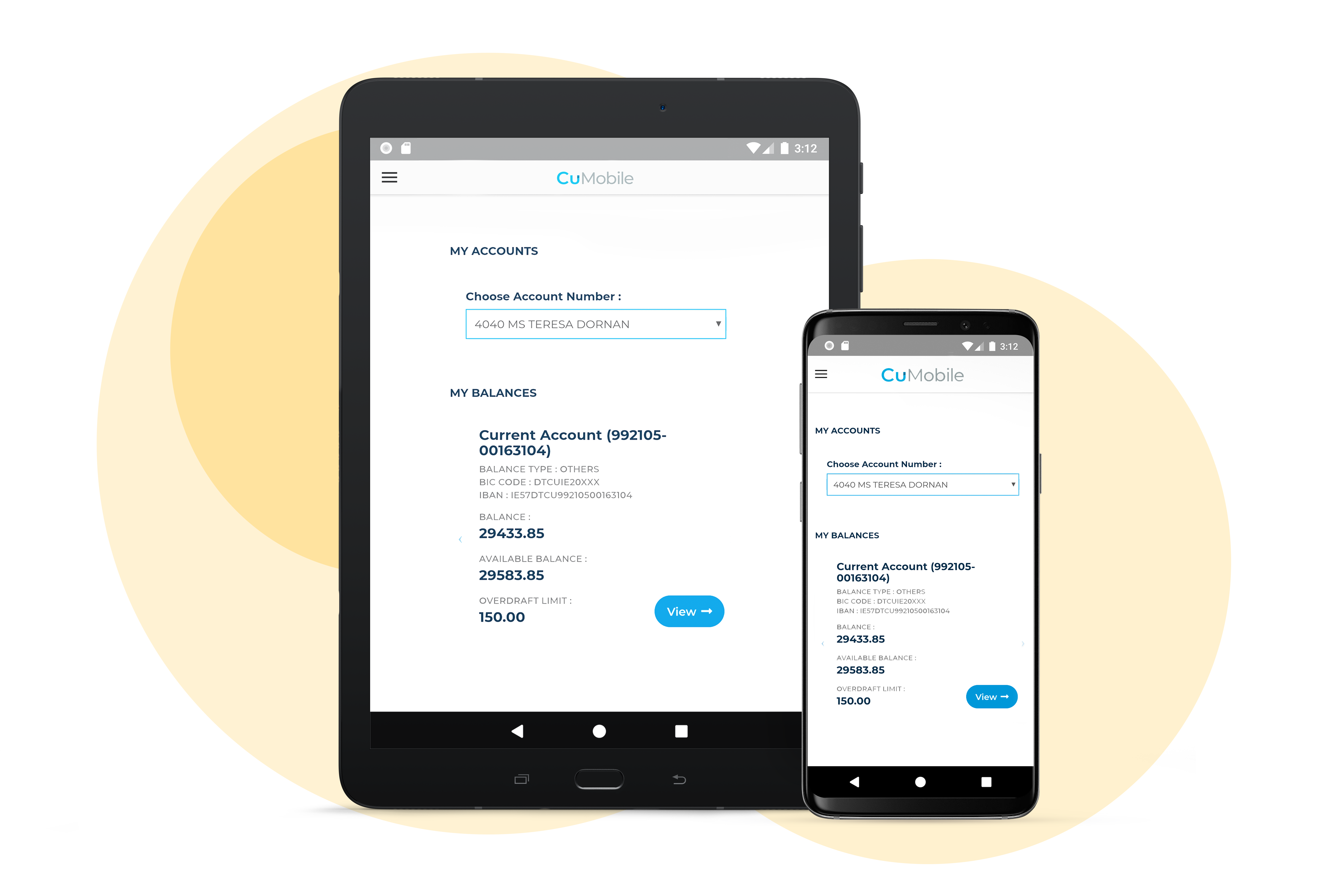 Credit Union Software